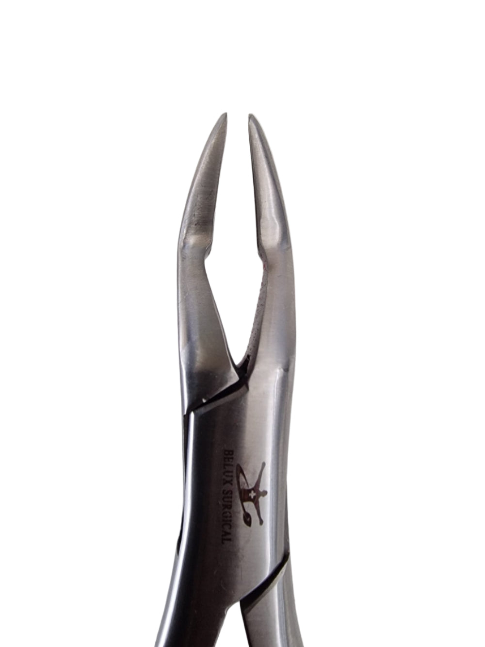Dental Forceps #32 (Parmly Alveolar) Upper Canine & Premolar Extraction