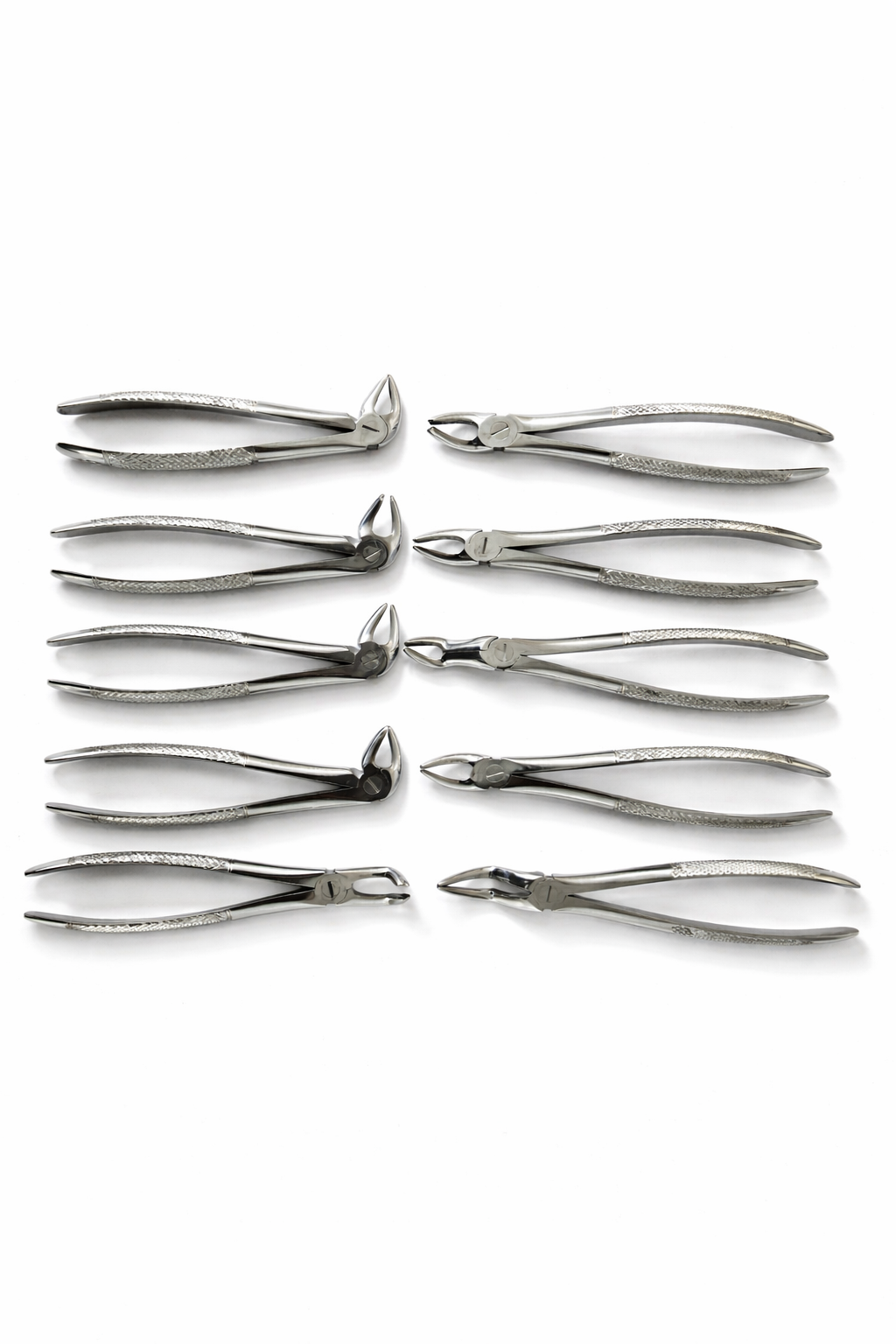 Dental Extraction Forceps for Adults – Set of 10 – Stainless Steel