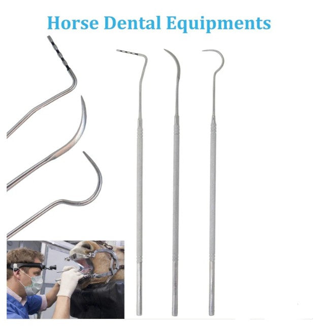 15" Equine Dental Mouth Probe & Scaler – Veterinary Explorer Pick Kit