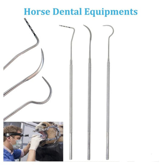 15" Equine Dental Mouth Probe & Scaler – Veterinary Explorer Pick Kit