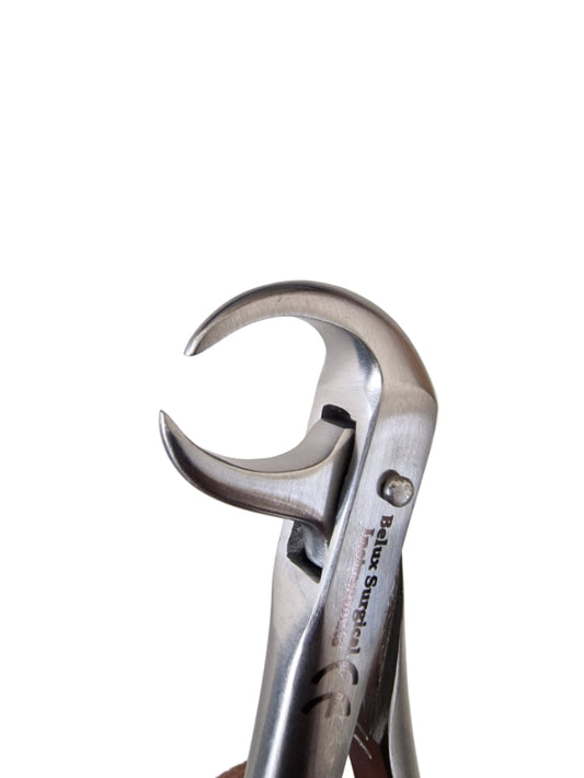 Extracting Molars with Carious or Broken Crowns – Dental Extraction Forceps