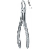 Tooth Extracting Forceps (English Pattern)