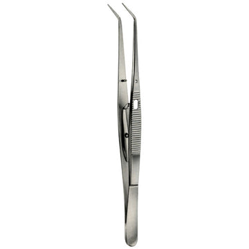 London College Self-Locking Forceps – 15 cm, Stainless Steel