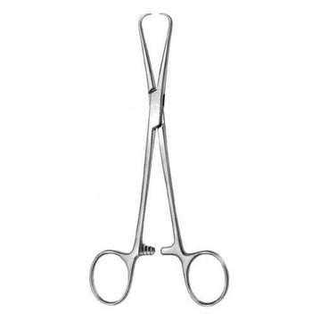 Bernhard Towel Clamp – 18.5 cm, Sharp Hooked Tips for Secure Draping
