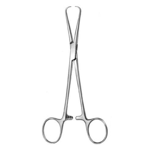 Bernhard Handtuchklammer – 18,5 cm, scharfe Hakenspitzen für sicheres Drapieren