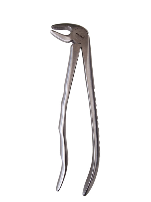 Dental Extraction Forceps #13 – European Style for Lower Premolars