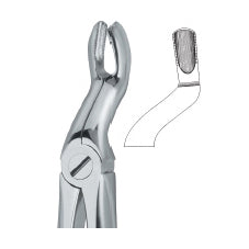 Tooth Extraction Forceps  UPPER WISDOM – Stainless Steel Dental Instrument
