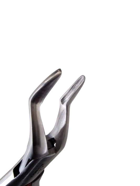 Dental Forceps #32 (Parmly Alveolar) Upper Canine & Premolar Extraction