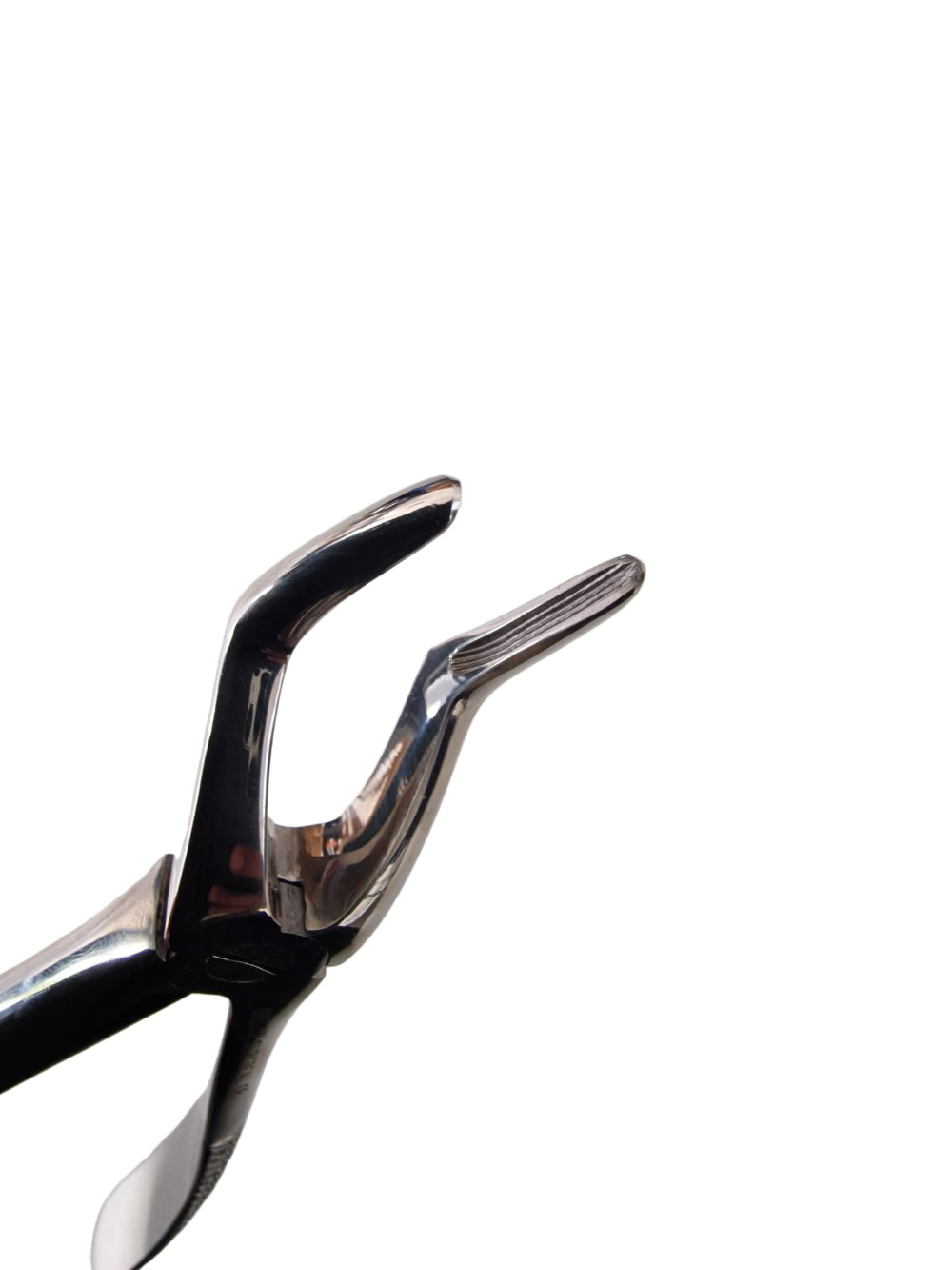 51A Extraction Forceps – For Upper Roots – Stainless Steel Dental Instrument