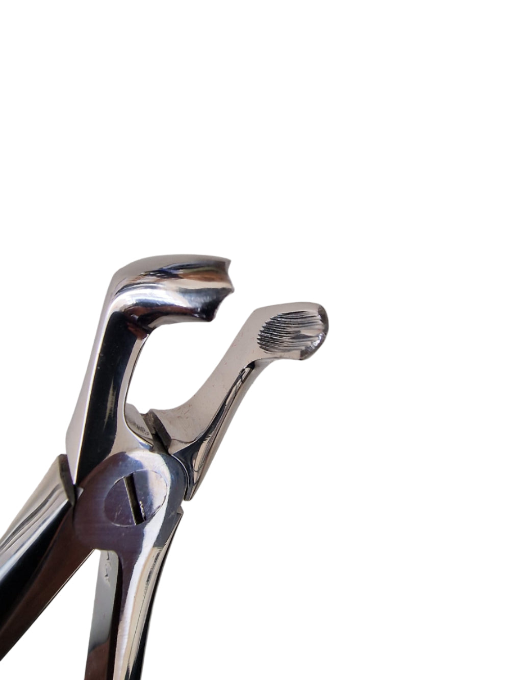 Dental Extraction Forceps #79 – European Style, Serrated Beaks for Lower Third Molars