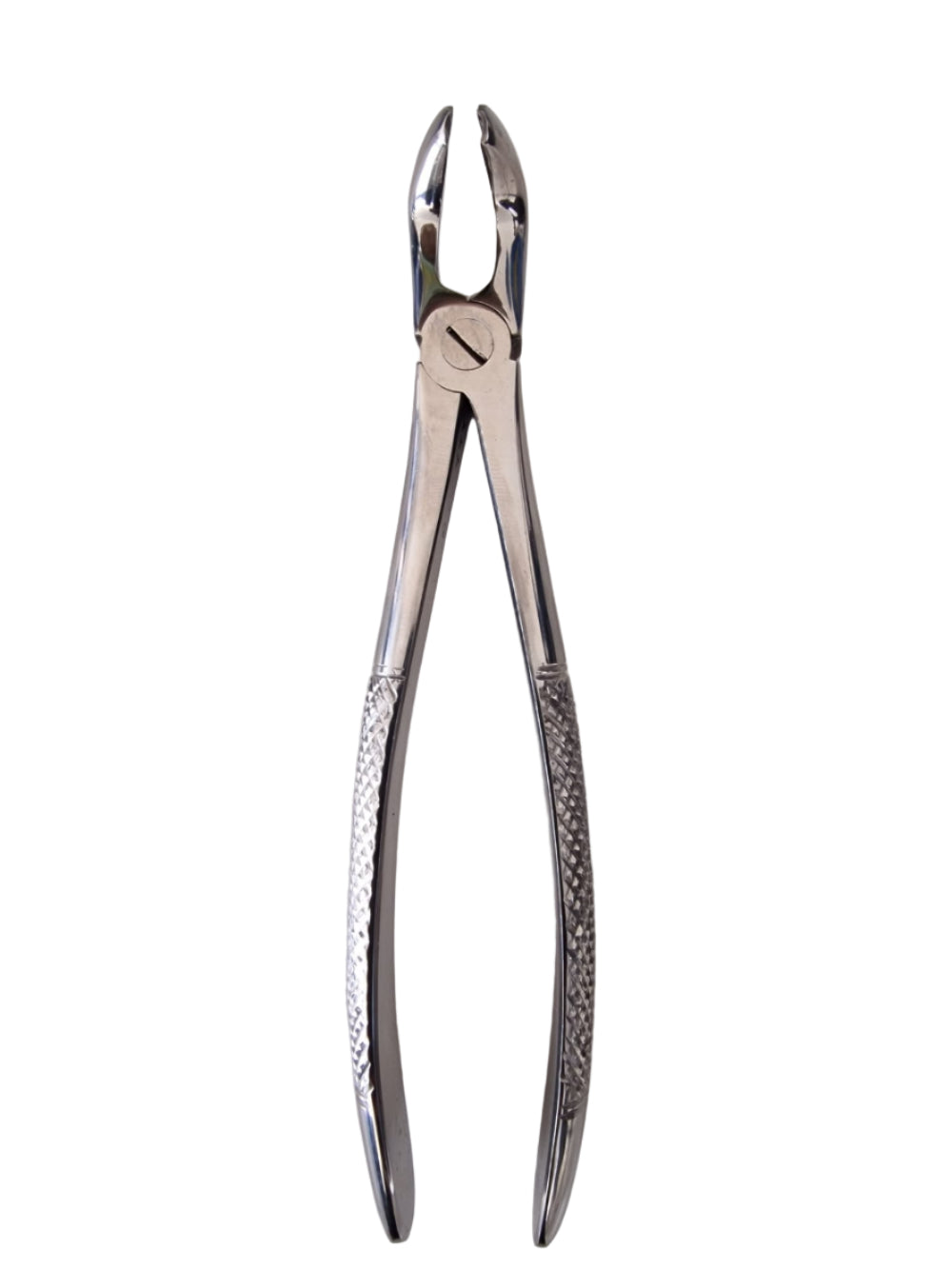 Dental Extraction Forceps #79 – European Style, Serrated Beaks for Lower Third Molars
