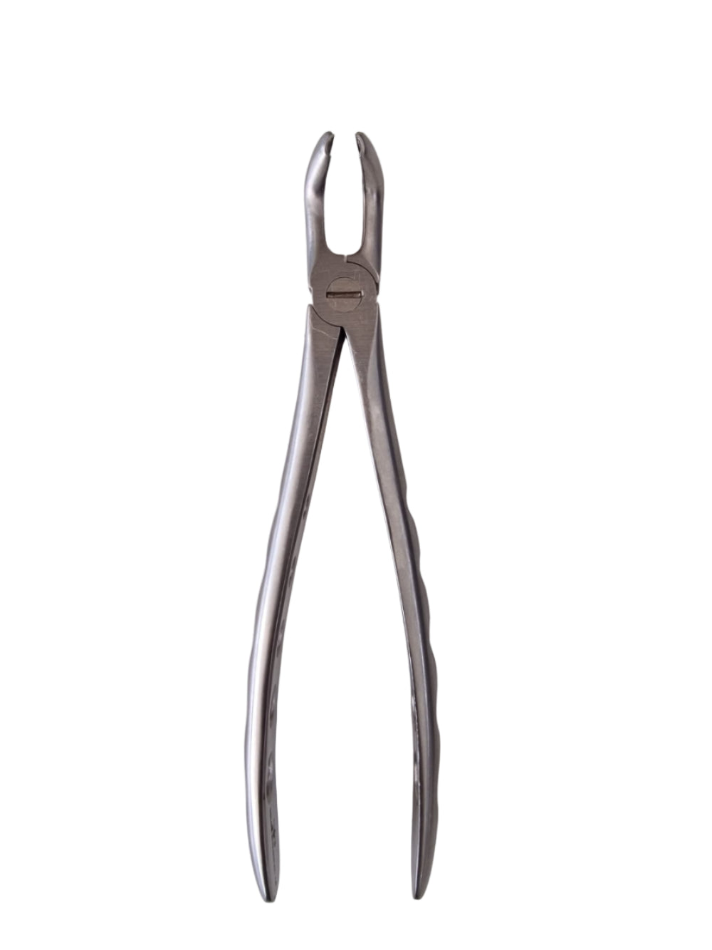 Dental Extraction Forceps #79 – European Style, Serrated Beaks for Lower Third Molars