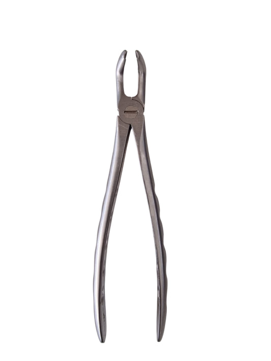 Dental Extraction Forceps #79 – European Style, Serrated Beaks for Lower Third Molars