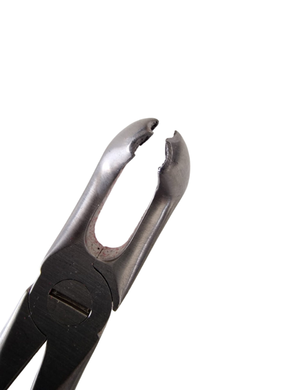 Dental Extraction Forceps #79 – European Style, Serrated Beaks for Lower Third Molars