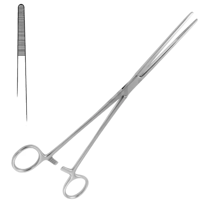 BOZEMANN SWAB TONGUE STRAIGHT 26.0CM