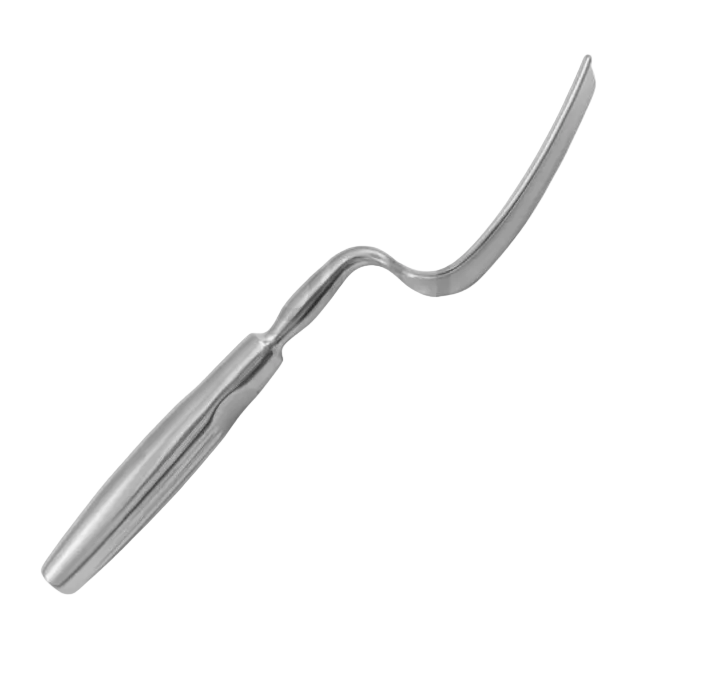 BREISKY Speculum 100x20mm
