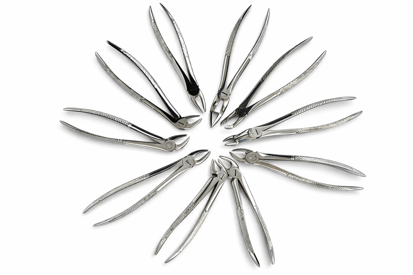 Dental Extraction Forceps for Adults – Set of 10 – Stainless Steel