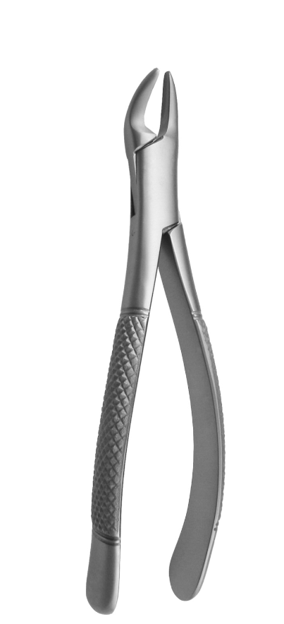 Cryer Pattern – Premolars, Incisors & Roots