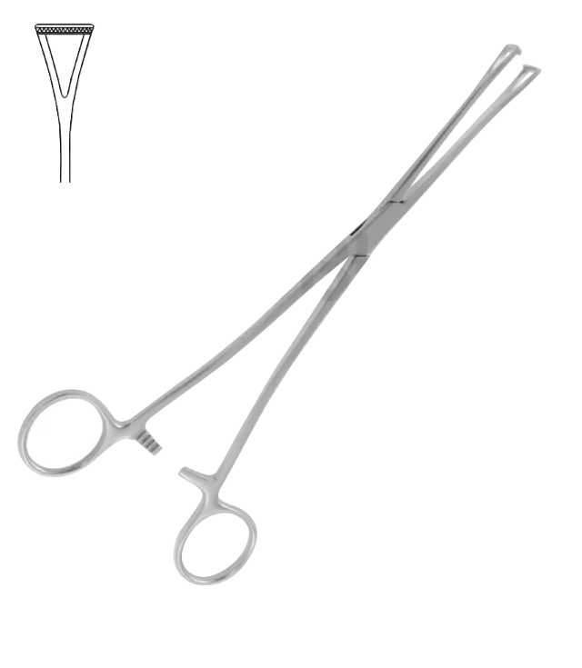 DUVAL INTESTINAL FORCEPS LARGE 23.0 CM