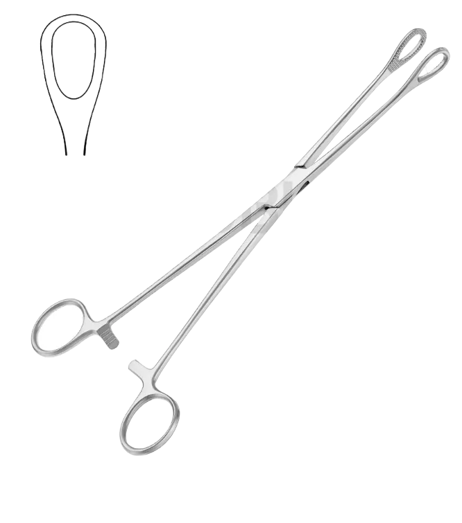 FOERSTER-BALLENGER SPONGE TOOLS STRAIGHT SMOOTH 20.0CM