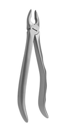 Incisors and canines #1