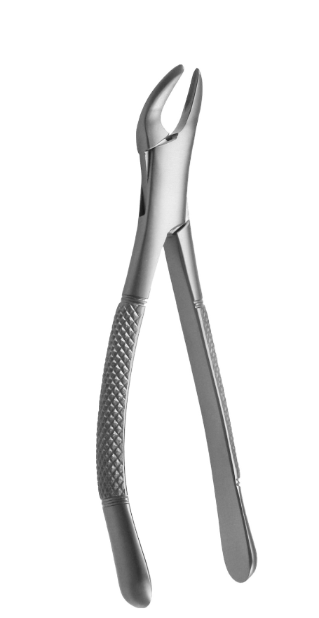 Molar Extraction