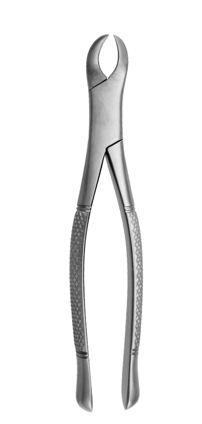 Molars# 23
