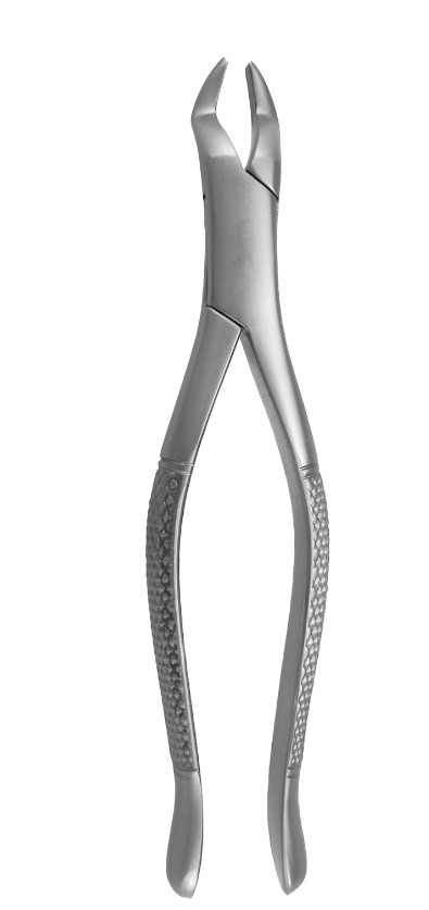 Molars & Third Molars