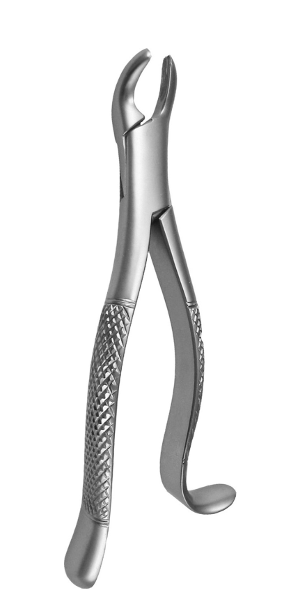 Right molars