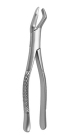Right molars# 53R