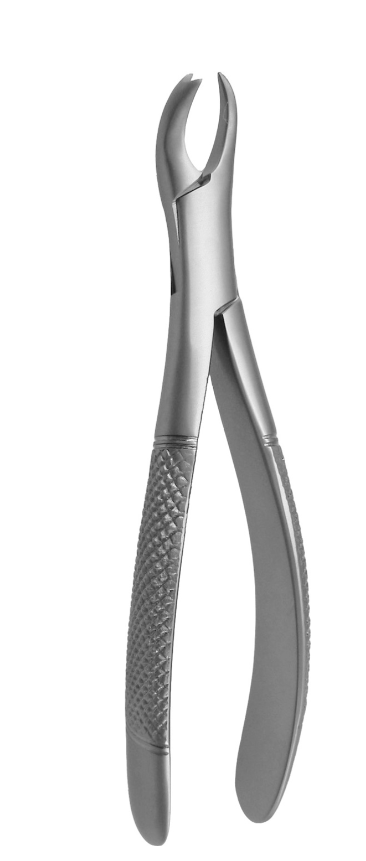 Right molars # 89
