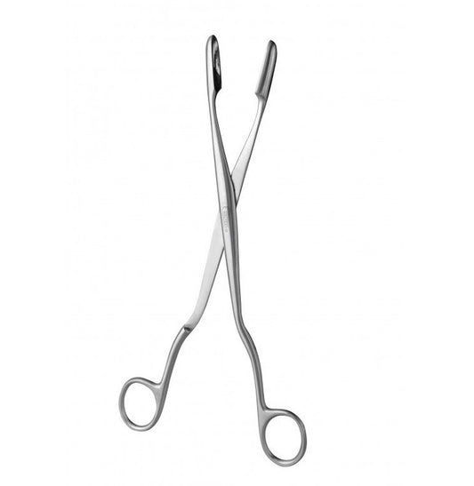 Winter False Graft Forceps, Straight, 24 cm