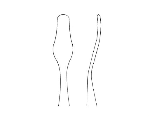 Chandler Elevator Blunt