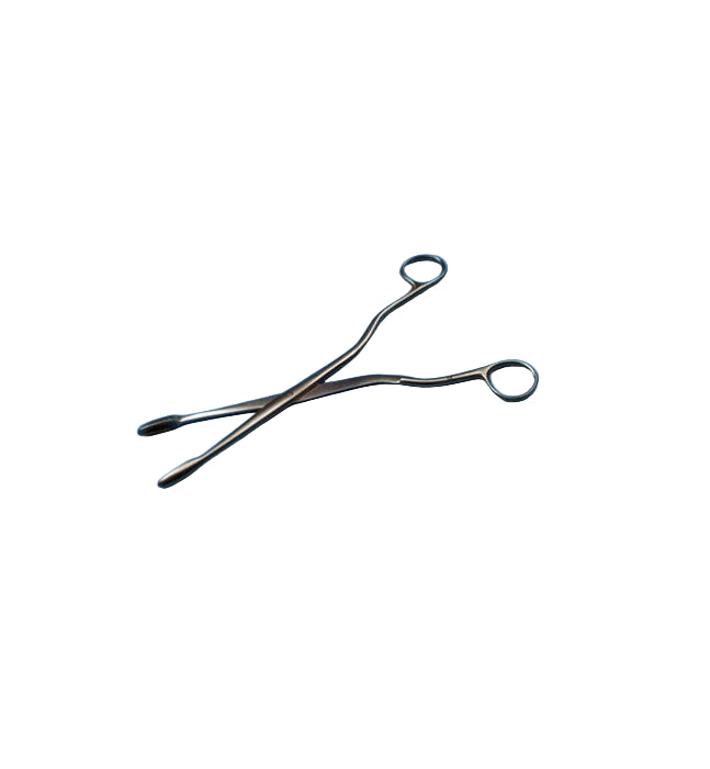 Winter False Graft Forceps, Straight, 24 cm
