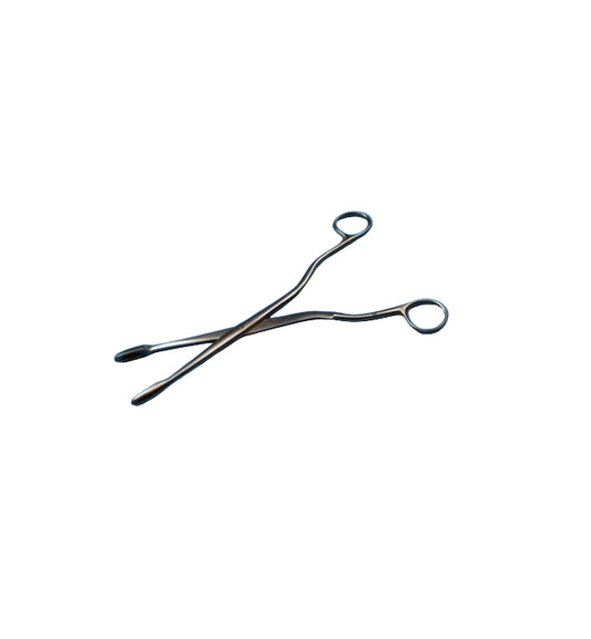 Winter False Graft Forceps, Straight, 24 cm