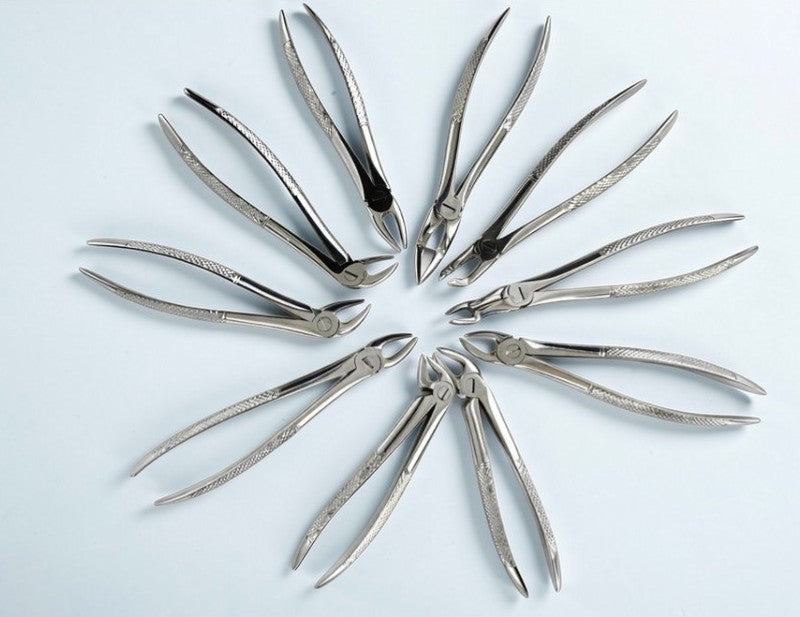 Dental Extraction Forceps for Adults – Set of 10 – Stainless Steel
