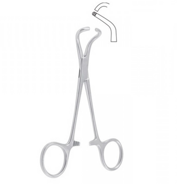 Tohoku Handtuchklemme – stumpf – Edelstahl – 13,5 cm – chirurgisches Instrument