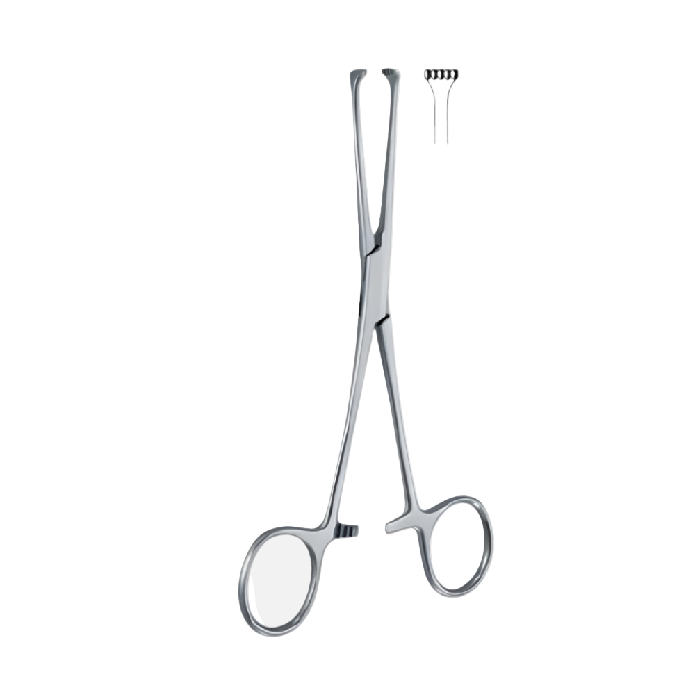 Allis darmweefseltang – 4x3 tanden – chirurgisch instrument – ​​roestvrij staal