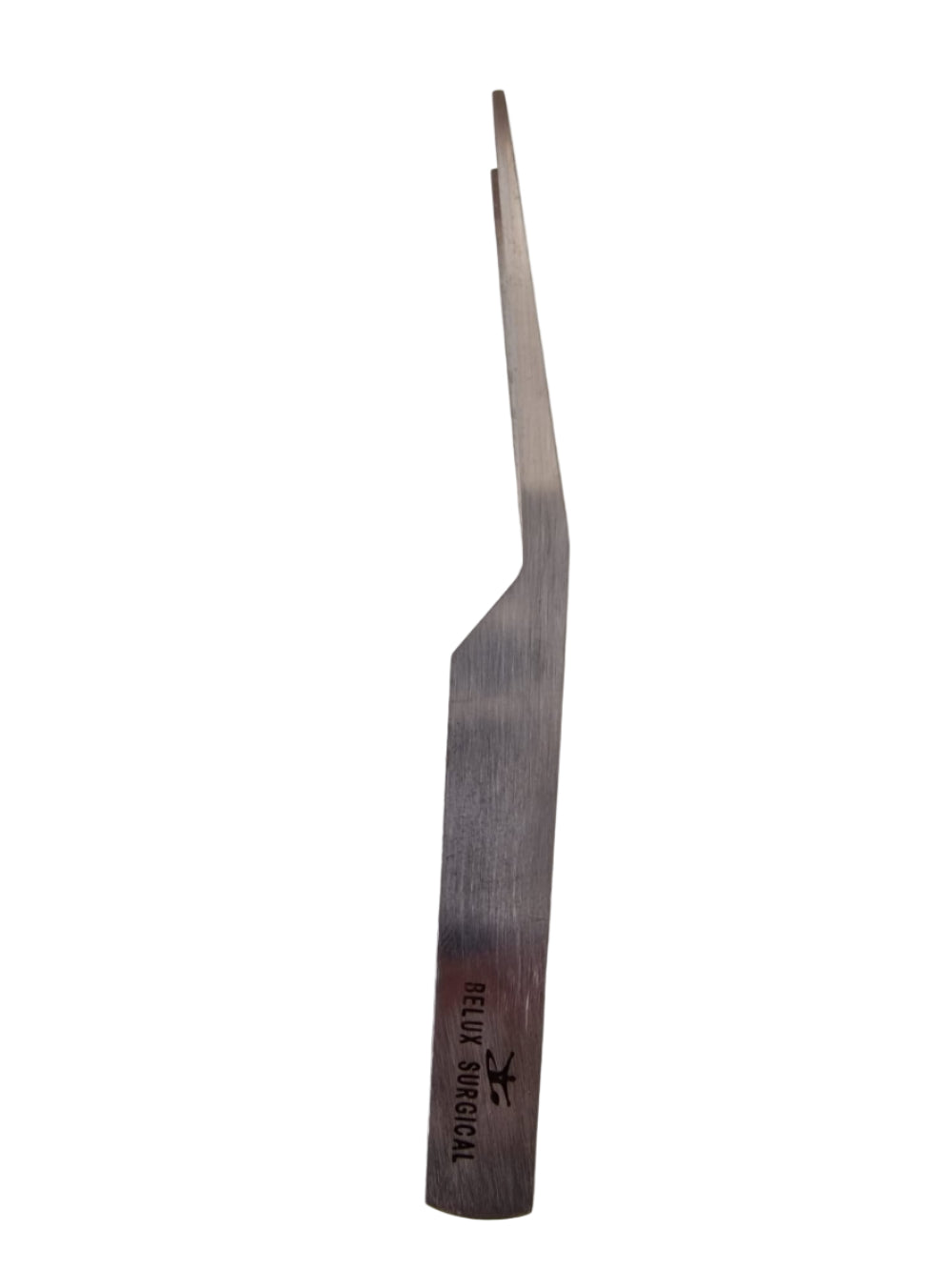 Entomology Forceps – 10 cm, Precision Tool for Insects & Worms