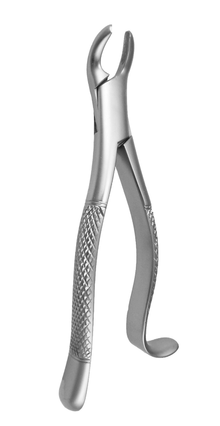 Molar Extraction