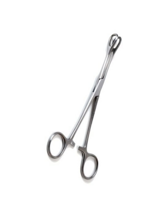 Foerster Schwammpinzette – Gerade – Chirurgisches Instrument – ​​Edelstahl